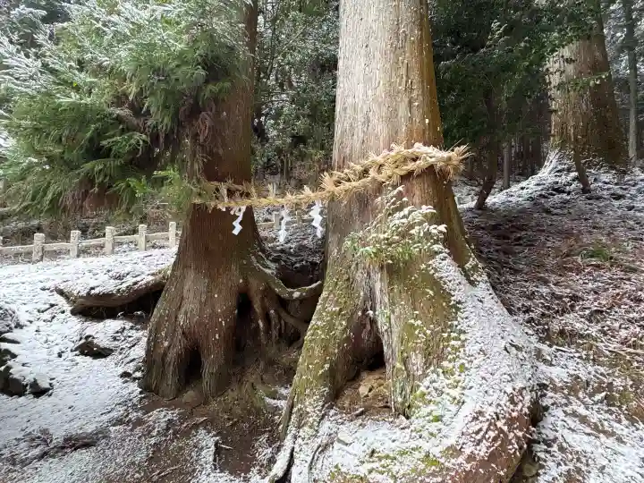 天一神社の{uncategorized: "未分類", other: "その他", undefined: "問題あり", building: "その他建物", grave: "お墓", sacred_gate: "鳥居", guardian: "狛犬", statue: "像", buddha: "仏像", history: "歴史", nature: "自然", garden: "庭園", animal: "動物", pagoda: "塔", temizu: "手水舎", mountain_gate: "山門・神門", sanctuary: "本殿・本堂", subordinate: "末社・摂社", art: "芸術", scenery: "景色", jizo: "地蔵", ema: "絵馬", goshuin: "御朱印", omikuji: "おみくじ", items: "授与品その他", amulet: "お守り", goshuincho: "御朱印帳", eats: "食事", festival: "お祭り", votive_dance: "神楽", shichigosan: "七五三参", wedding: "結婚式", experience: "体験その他", initially: "初詣", around: "周辺", anti_infection: "感染症対策"}