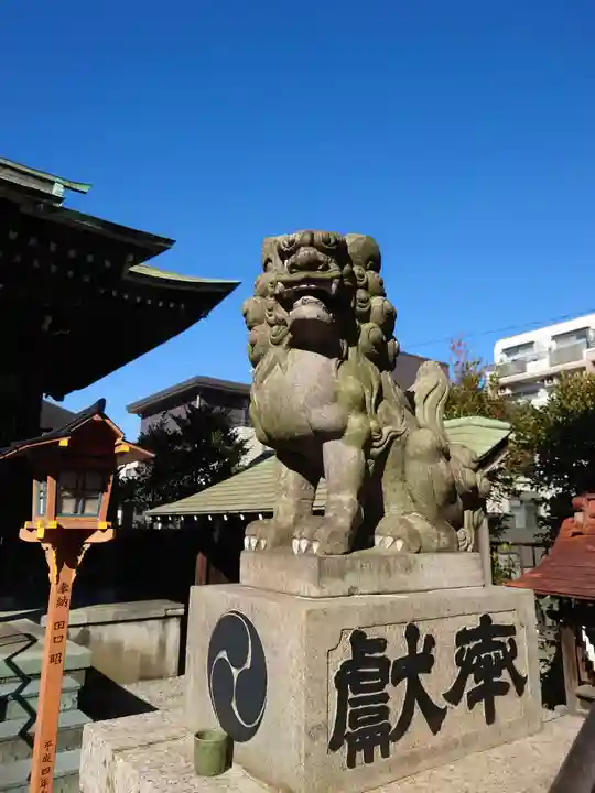 杉山神社(和田町)の狛犬