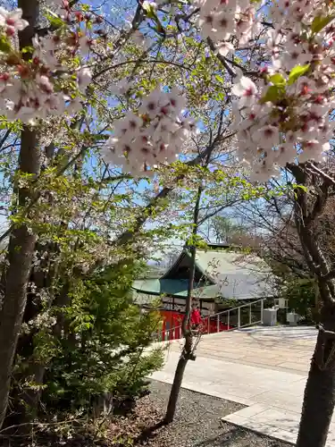 住吉神社の自然