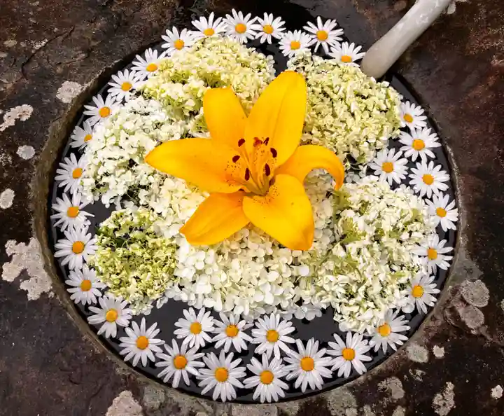 真言宗 善通寺派 薬王寺(香川県)