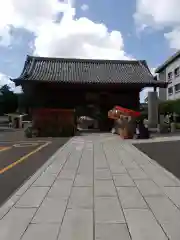 護国寺の山門