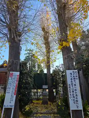 亀ケ池八幡宮(神奈川県)