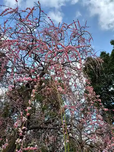 龍尾神社(静岡県)