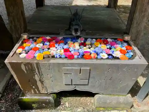 清水寺(千葉県)