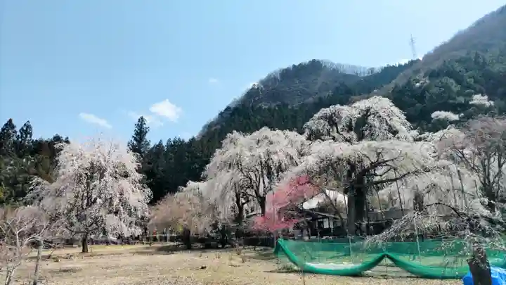 清雲寺(埼玉県)
