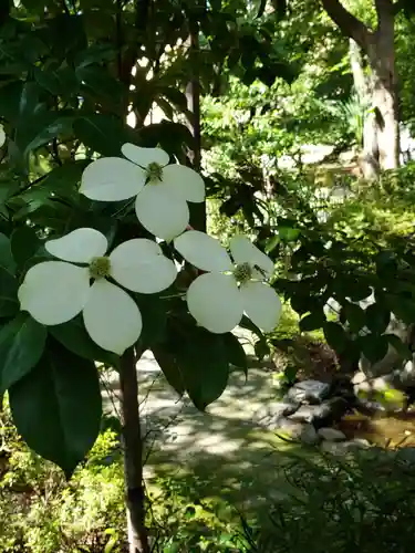 熊野神社の自然
