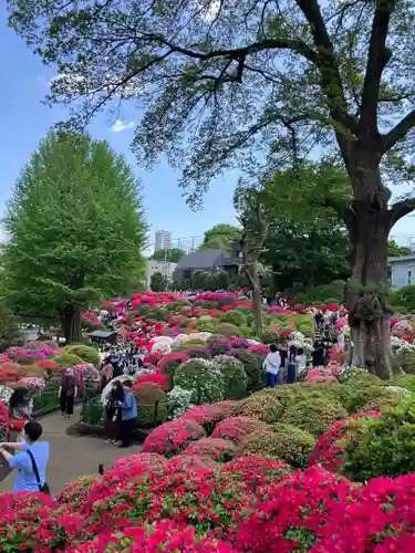 根津神社(東京都)