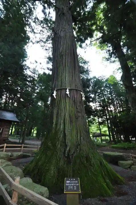河口浅間神社(山梨県)