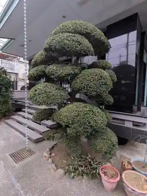 宗源寺(東京都)