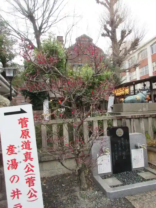 菅原院天満宮神社のその他建物