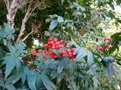葛飾八幡宮(千葉県)