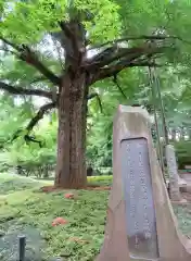 淨眞寺の自然