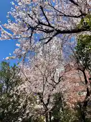 櫻田神社の自然