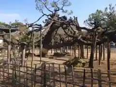 大光院 新田寺の庭園