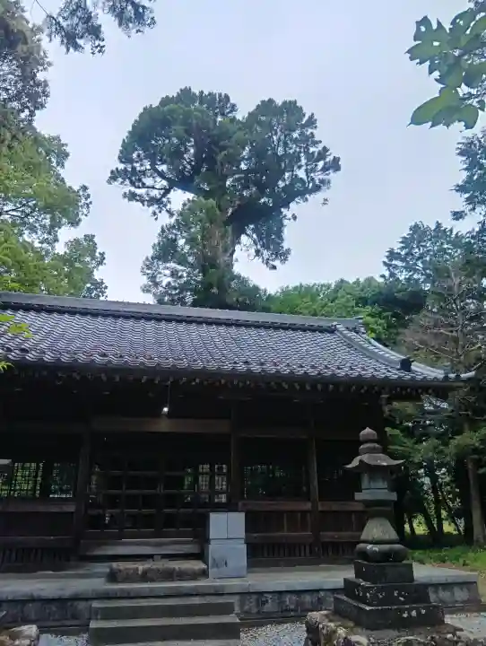 深坂神社の{uncategorized: "未分類", other: "その他", undefined: "問題あり", building: "その他建物", grave: "お墓", sacred_gate: "鳥居", guardian: "狛犬", statue: "像", buddha: "仏像", history: "歴史", nature: "自然", garden: "庭園", animal: "動物", pagoda: "塔", temizu: "手水舎", mountain_gate: "山門・神門", sanctuary: "本殿・本堂", subordinate: "末社・摂社", art: "芸術", scenery: "景色", jizo: "地蔵", ema: "絵馬", goshuin: "御朱印", omikuji: "おみくじ", items: "授与品その他", amulet: "お守り", goshuincho: "御朱印帳", eats: "食事", festival: "お祭り", votive_dance: "神楽", shichigosan: "七五三参", wedding: "結婚式", experience: "体験その他", initially: "初詣", around: "周辺", anti_infection: "感染症対策"}
