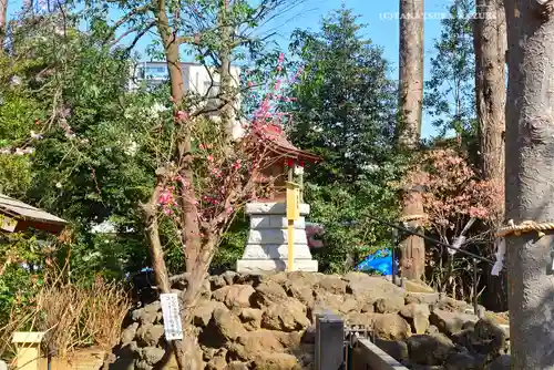 川越八幡宮(埼玉県)