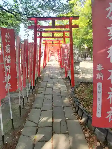 於菊稲荷神社(群馬県)