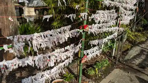 椙本神社のおみくじ