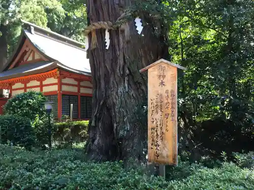 香取神宮のその他建物