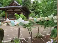 鳩森八幡神社のおみくじ