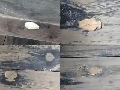 本願寺(西本願寺)の芸術