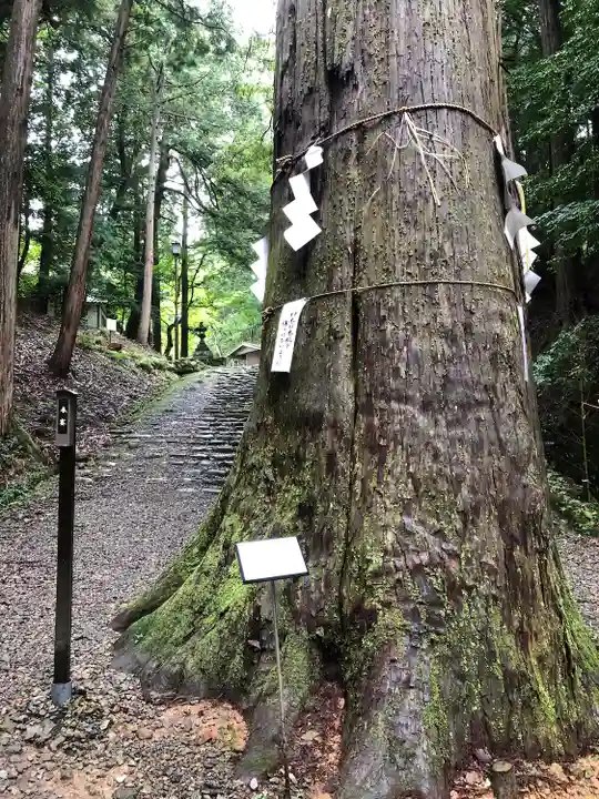 元伊勢内宮 皇大神社の自然