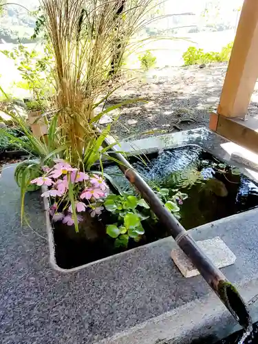 高司神社〜むすびの神の鎮まる社〜の手水