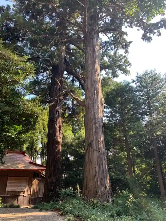稲葉山神社(千葉県)