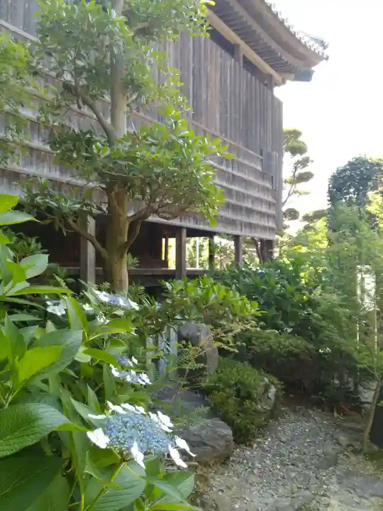 石薬師寺の自然