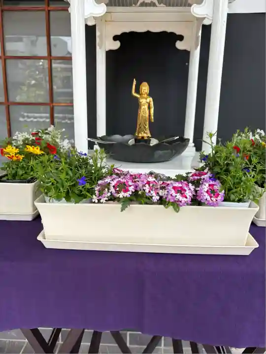 龍光院(東京都)