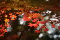 國祖神社の自然