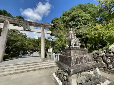 武田神社の鳥居