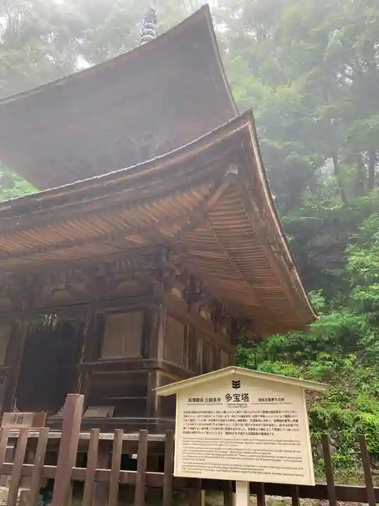 日龍峯寺(高澤観音)(美濃清水)の塔