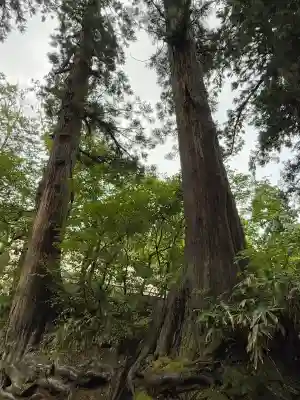 羽黒山天宥社(山形県)