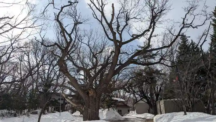 相馬神社(北海道)