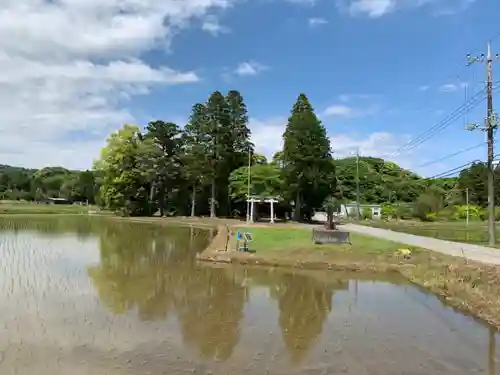 大宮神社の鳥居