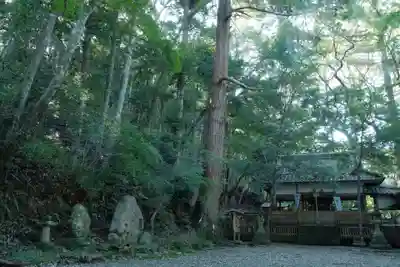 闘鶏神社の周辺