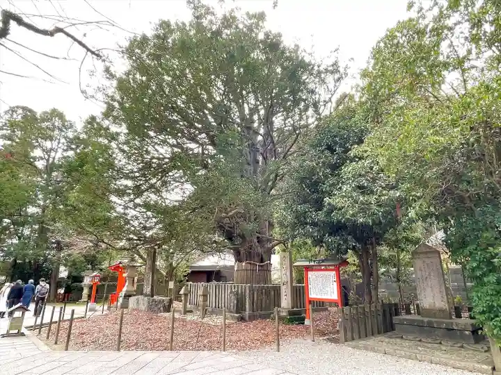 熊野速玉大社(和歌山県)