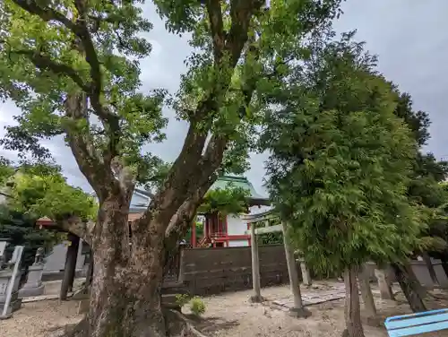 珠城神社(京都府)