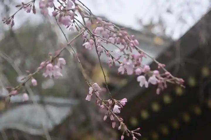 鈴鹿明神社の自然