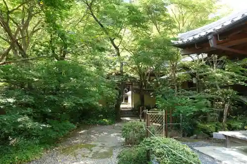 勝持寺（花の寺）の自然