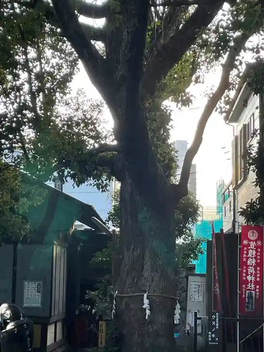 笠䅣稲荷神社(神奈川県)