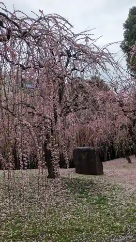 城南宮(京都府)