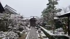 妙心寺（妙心禅寺）の庭園