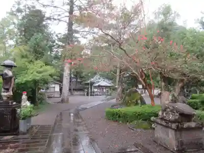 延光寺(高知県)