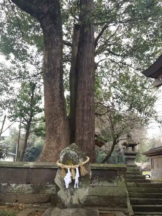 北宮阿蘇神社の自然