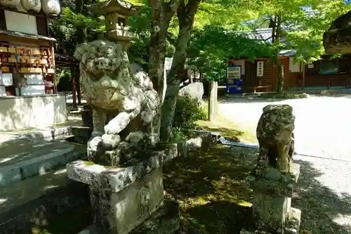 若山神社の狛犬