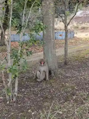 水澤寺(水澤観世音)(群馬県)