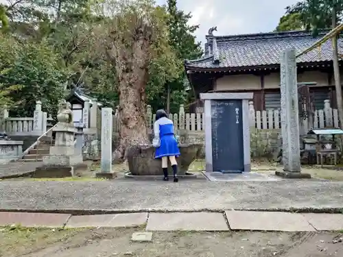 大野原八幡神社の手水舎