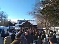 千歳神社の初詣